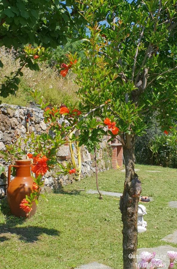Willa Ca' Olivella Casarza Ligure Zewnętrze zdjęcie